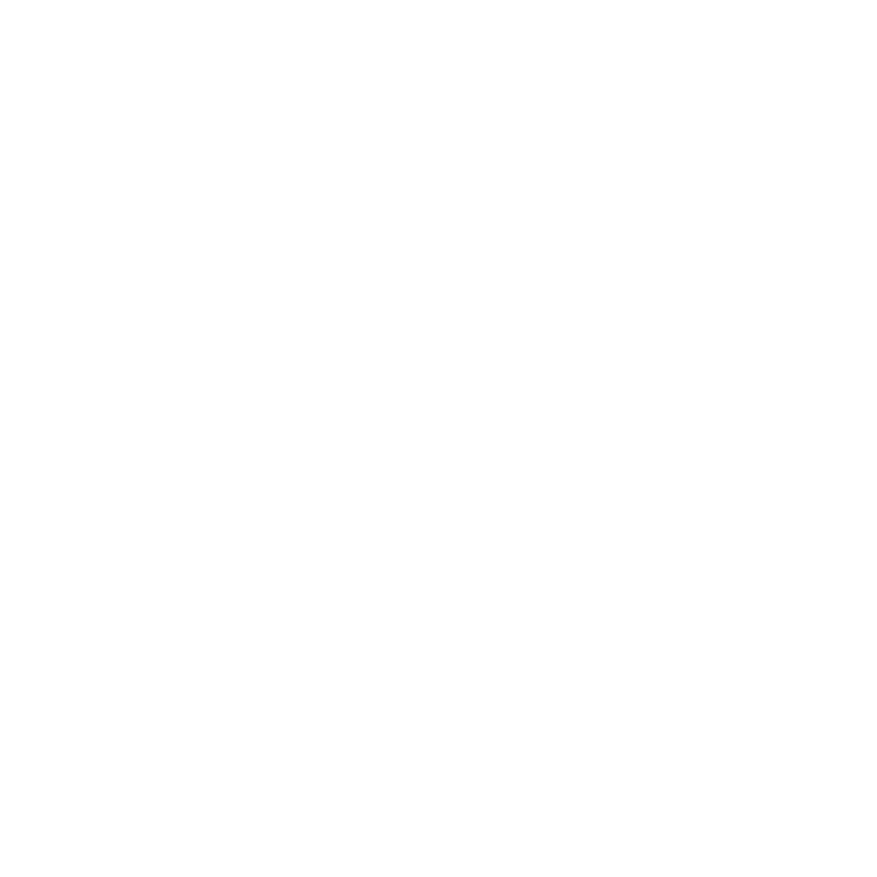 logo1