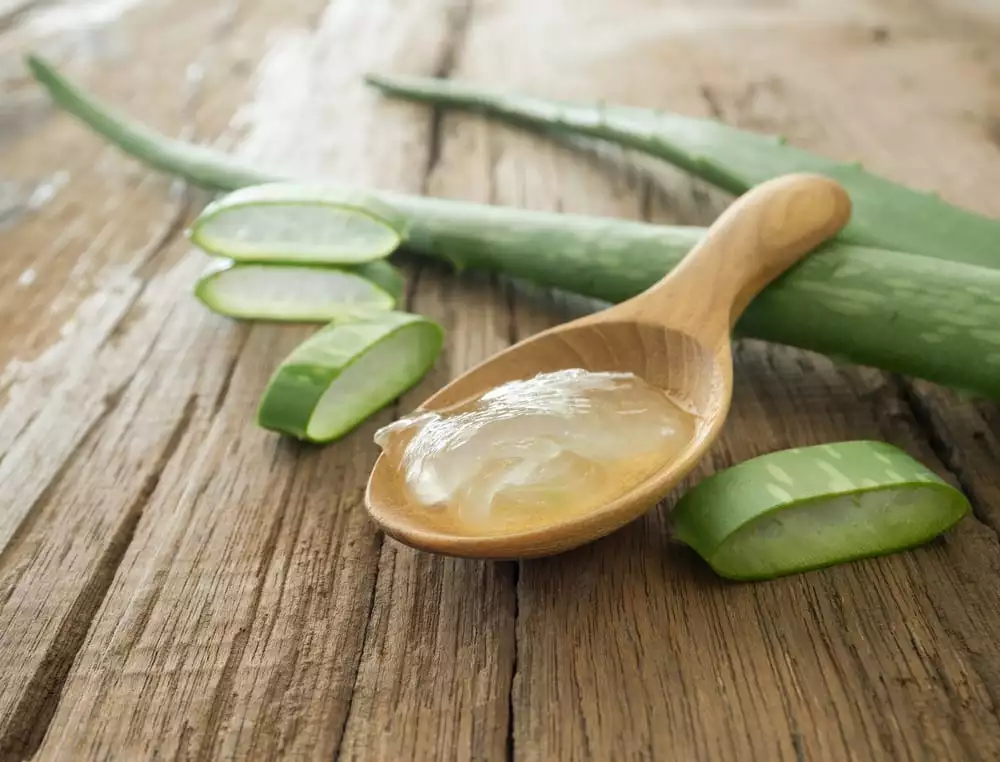 Aloe vera for your skin