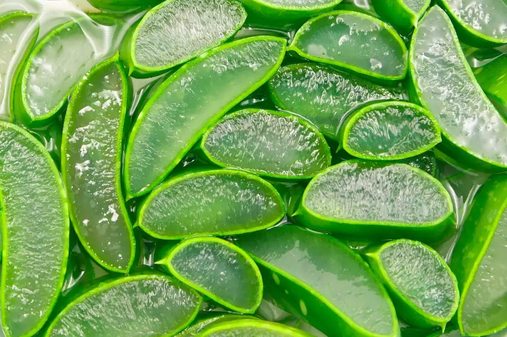 A great facial skin cleanser should contain soothing ingredients such as aloe vera.