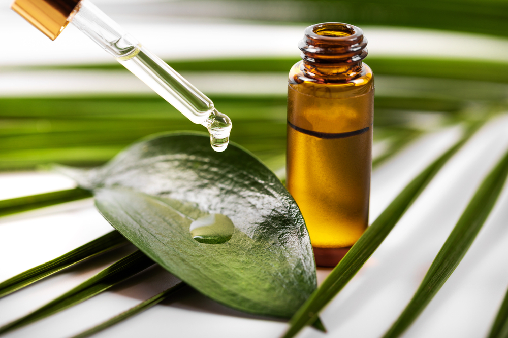 Tea Tree oil has been known to improve itchiness and dandruff symptoms.