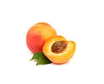 Apricot Oil