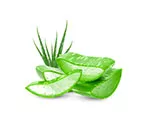 Aloe vera gel in a clear container with a leaf in the background