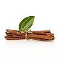 Extrato de cinnamomum