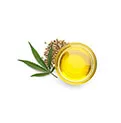 Hemp Oil